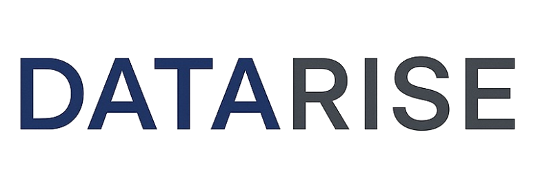 Datarise